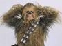Let the Wookiee Eat! - Thursday, November 17th 6:10 PM EST - Bid on a once-in-a-lifetime opportunity to win a dinner with Peter Mayhew, Robert Picardo, or Tom Kane - Proceeds Benefit Epilepsy Awareness Project!